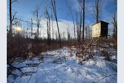 152 Acres W Miller Road, Mio, MI 48647 - Photo 23