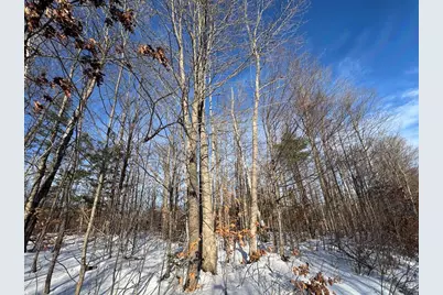 152 Acres W Miller Road, Mio, MI 48647 - Photo 51