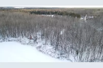 152 Acres W Miller Road, Mio, MI 48647 - Photo 35