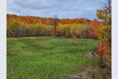 152 Acres W Miller Road, Mio, MI 48647 - Photo 17