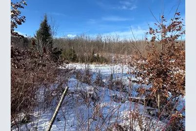 152 Acres W Miller Road, Mio, MI 48647 - Photo 71