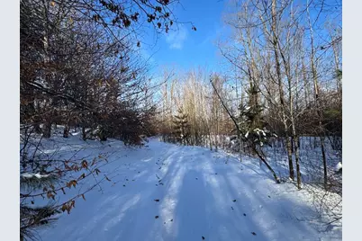 152 Acres W Miller Road, Mio, MI 48647 - Photo 73