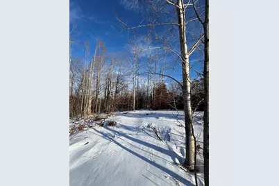 152 Acres W Miller Road, Mio, MI 48647 - Photo 67