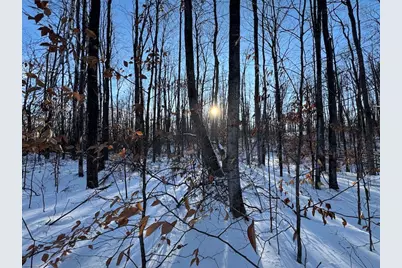 152 Acres W Miller Road, Mio, MI 48647 - Photo 113