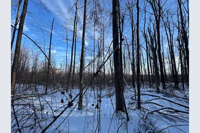 152 Acres W Miller Road, Mio, MI 48647 - Photo 117