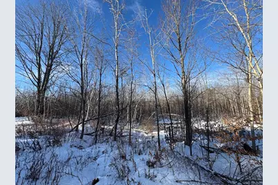 152 Acres W Miller Road, Mio, MI 48647 - Photo 57