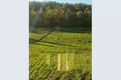 152 Acres W Miller Road, Mio, MI 48647 - Photo 27