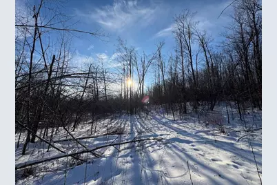 152 Acres W Miller Road, Mio, MI 48647 - Photo 95