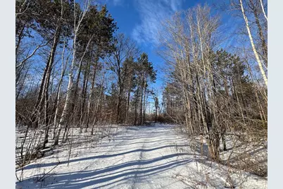 152 Acres W Miller Road, Mio, MI 48647 - Photo 53