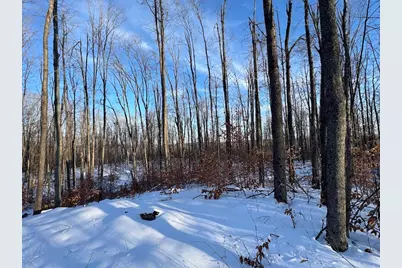 152 Acres W Miller Road, Mio, MI 48647 - Photo 119