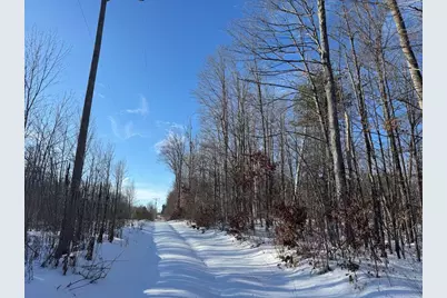 152 Acres W Miller Road, Mio, MI 48647 - Photo 49