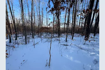 80 Acres Galbrith Road, Mio, MI 48647 - Photo 55