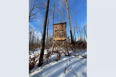 80 Acres Galbrith Road, Mio, MI 48647 - Photo 5