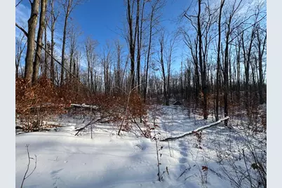 80 Acres Galbrith Road, Mio, MI 48647 - Photo 67