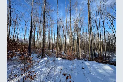 80 Acres Galbrith Road, Mio, MI 48647 - Photo 61