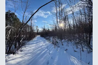 80 Acres Galbrith Road, Mio, MI 48647 - Photo 27