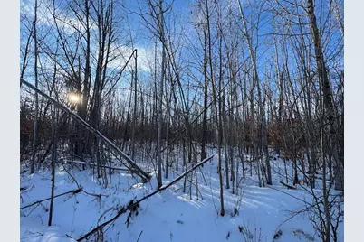 80 Acres Galbrith Road, Mio, MI 48647 - Photo 29