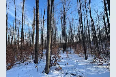 80 Acres Galbrith Road, Mio, MI 48647 - Photo 63