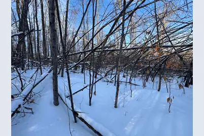 80 Acres Galbrith Road, Mio, MI 48647 - Photo 47