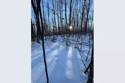 80 Acres Galbrith Road, Mio, MI 48647 - Photo 57