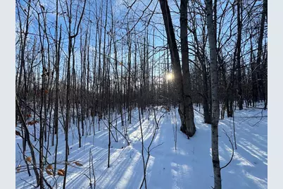 80 Acres Galbrith Road, Mio, MI 48647 - Photo 45