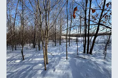80 Acres Galbrith Road, Mio, MI 48647 - Photo 37
