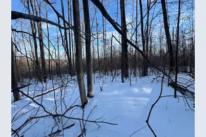 80 Acres Galbrith Road, Mio, MI 48647 - Photo 53