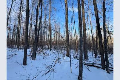 80 Acres Galbrith Road, Mio, MI 48647 - Photo 51