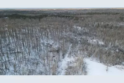 80 Acres Galbrith Road, Mio, MI 48647 - Photo 25