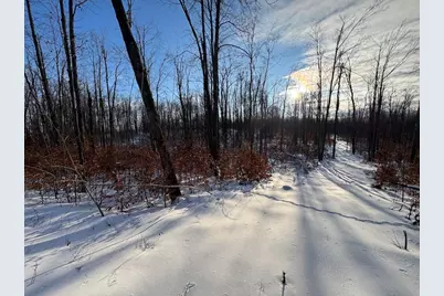 80 Acres Galbrith Road, Mio, MI 48647 - Photo 65
