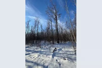 80 Acres Galbrith Road, Mio, MI 48647 - Photo 41