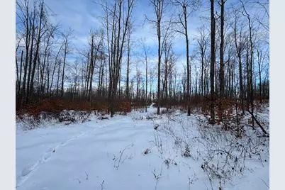 80 Acres Galbrith Road, Mio, MI 48647 - Photo 73