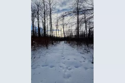 80 Acres Galbrith Road, Mio, MI 48647 - Photo 71