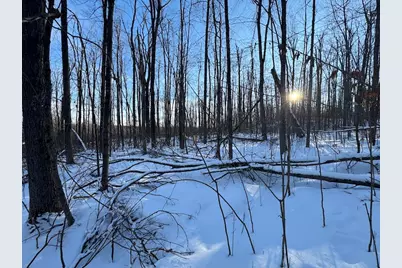 80 Acres Galbrith Road, Mio, MI 48647 - Photo 59