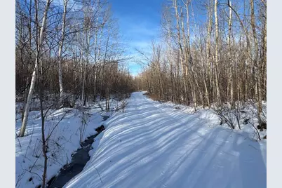 80 Acres Galbrith Road, Mio, MI 48647 - Photo 31