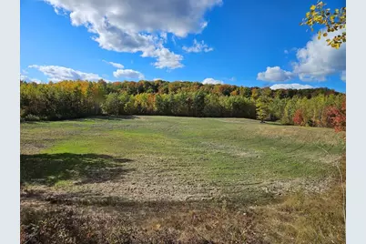 80 Acres Galbrith Road, Mio, MI 48647 - Photo 13