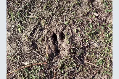 17 W Wilke Road, Rothbury, MI 49452 - Photo 15