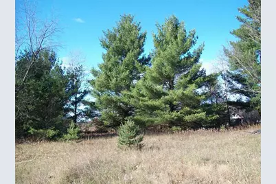 17 W Wilke Road, Rothbury, MI 49452 - Photo 19