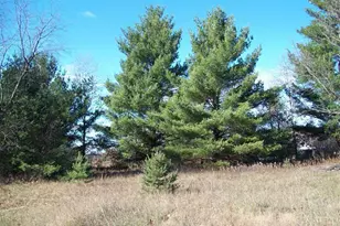 17 W Wilke Rd, Rothbury, MI 49452 - Photo 19