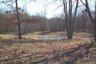 17 W Wilke Rd, Rothbury, MI 49452 - Photo 3