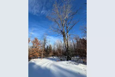 72 Acres W Miller Road, Mio, MI 48647 - Photo 37