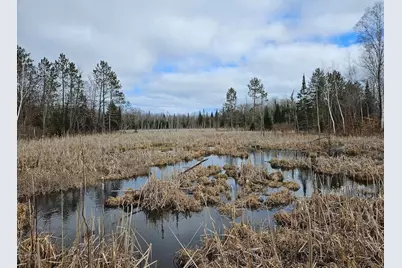 72 Acres W Miller Road, Mio, MI 48647 - Photo 13