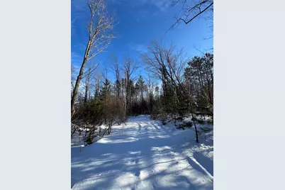 72 Acres W Miller Road, Mio, MI 48647 - Photo 39