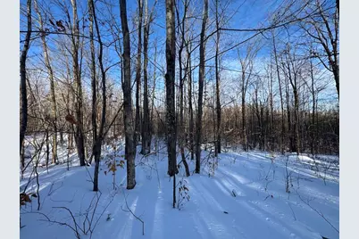 72 Acres W Miller Road, Mio, MI 48647 - Photo 43