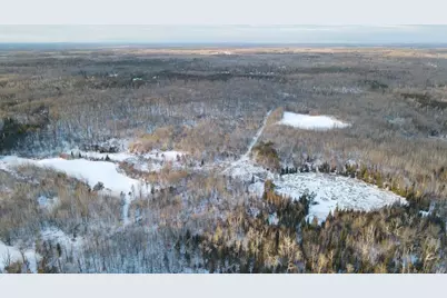 72 Acres W Miller Road, Mio, MI 48647 - Photo 27