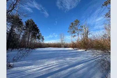72 Acres W Miller Road, Mio, MI 48647 - Photo 35