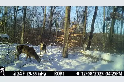 12409 Bellevue Road, Battle Creek, MI 49014 - Photo 41