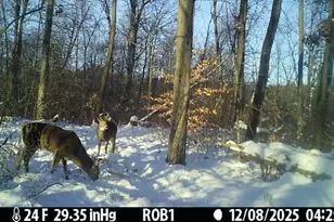 12409 Bellevue Rd, Battle Creek, MI 49014 - Photo 41