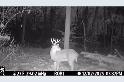 12409 Bellevue Road, Battle Creek, MI 49014 - Photo 39