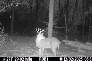 12409 Bellevue Rd, Battle Creek, MI 49014 - Photo 39